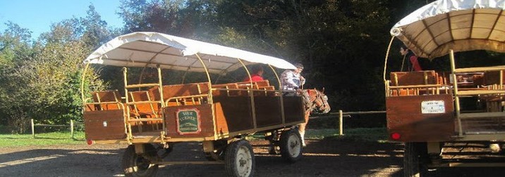 Carnaval con los niños en la Garrotxa