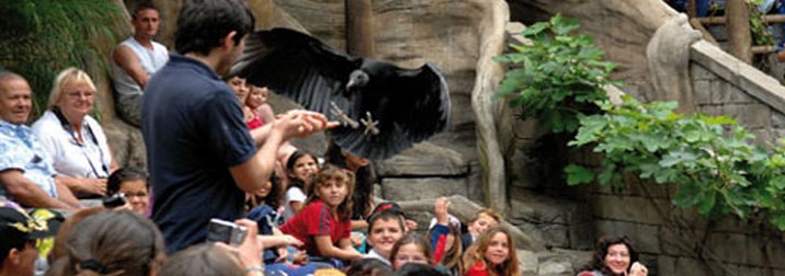 Semana Santa en Cantabria, niños gratis
