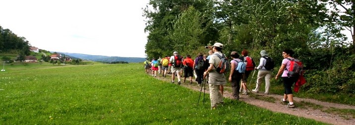 Senderismo en Selva Negra y Alsacia