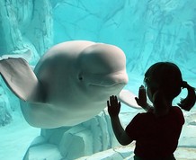 Puente de Diciembre con los niños: Valencia y la Albufera