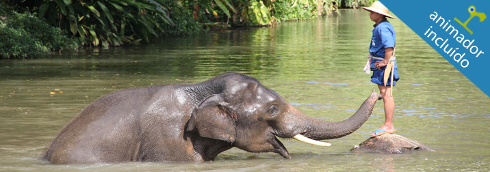 Tailandia en familia  Últimas 4 plazas