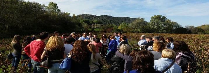 Un día entre viñedos