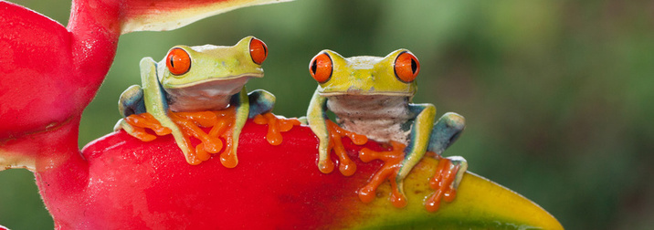 Costa Rica en familia