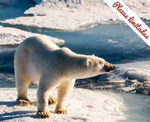 Expedición al Polo Norte: Svalbard