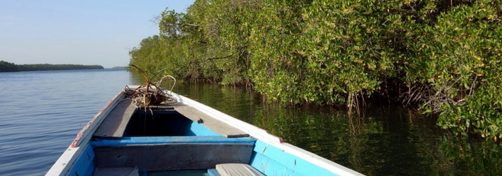 Julio en Senegal: ruta ética, historica y solidaria