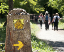 Vive el Camino de Santiago