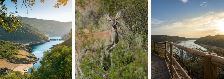 Vive el despertar del Otoño en el Parque Natural de Monfragüe. Amigos y Naturaleza