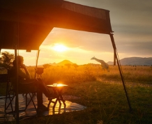 Safari por Tanzania: en busca de los 5 grandes