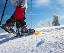 Empieza el año en plena naturaleza. Pirineo y Raquetas de nieve