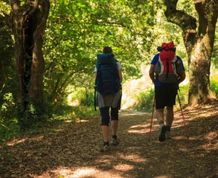 El Camino de Santiago